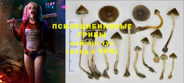 дживик Магадан
