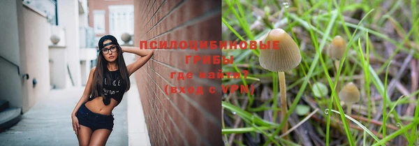 дживик Магадан