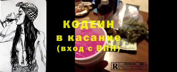 шишки Магас