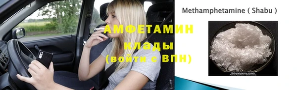 шишки Магас