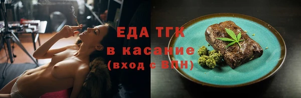 шишки Магас