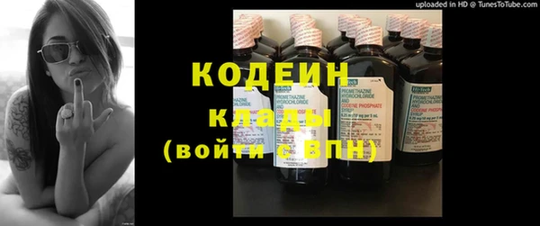 шишки Майский