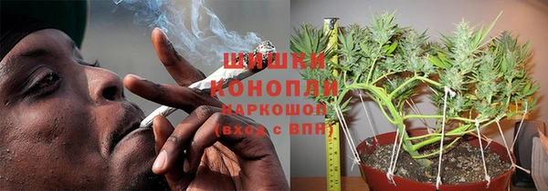 шишки Майский