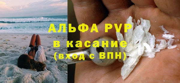 шишки Магас