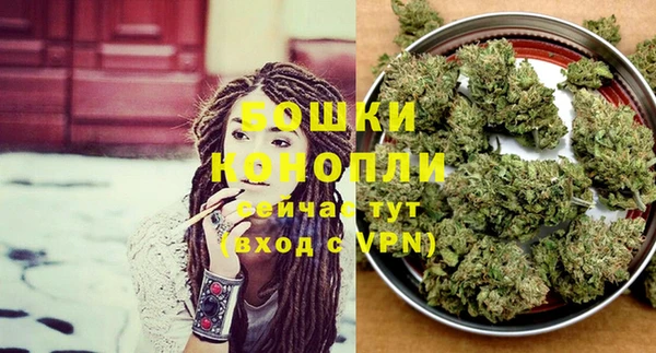 шишки Магас