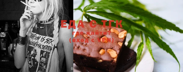 шишки Магас